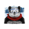 ski panda