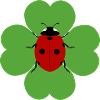 Kleeblatt Marienkäfer