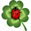 Kleeblatt und Marienkäfer