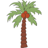 Palm tree