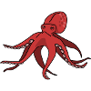 blæksprutte gigant blæksprutte, blæksprutte, blæksprutte, blæksprutter fisk