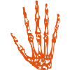 hand skeleton hand skeul1
