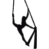 Stellar silhouette, black