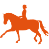2541614 15836128 dressage horse