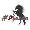 #Pferde