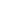 Dragonfly Wing white
