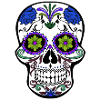 Mexican skull