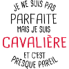 Pas parfaite mais cavalière