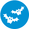 Bats