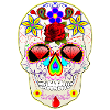 Mexican skull