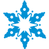 A snow crystal