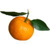 mandarino mandarino clementina mandarino veggie oss