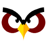 This bird is Angry !