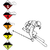 Risk to Ski