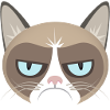 Grumpy Cat