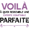 Une Experte comptable parfaite cadeau