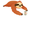 Sloth Love Coffee