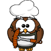 Owl cook
