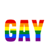 Je ne suis pas gay, c’est mon ami.