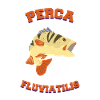 Latin Perch Angler Gift