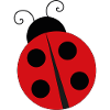 Marienkäfer Ladybug