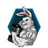 pumpernickel! Rabbits pumping