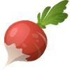 Radischen
