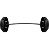 barbell