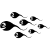 spermien
