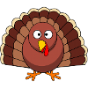 Pita turkey