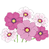 Blumen