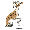 Dog - whippet