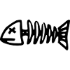 fish skeleton