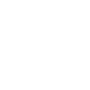 Cassette skull