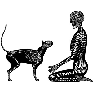 Scheletro umano e gatto