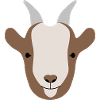 biquette