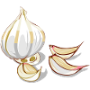 Knoblauch Garlic