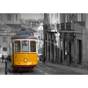 Lisbon Tram