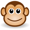 Monkey Face Gift Idea