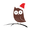 Die Weihnachts-Eule! Geschenk Idee