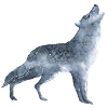 Howling wolf in the moonlight