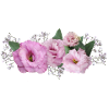 Flowers Pink