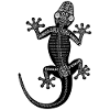 Gecko-Skelett