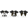 Dogs