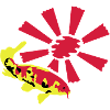 Koi Carp