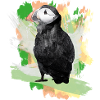 Puffin Grafitti