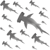 Hammerhead Sharks