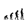 Evolution human