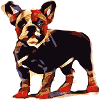 bouledogue