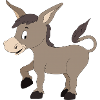 Toki the little gray donkey
